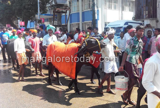 Kambala ban protest 1